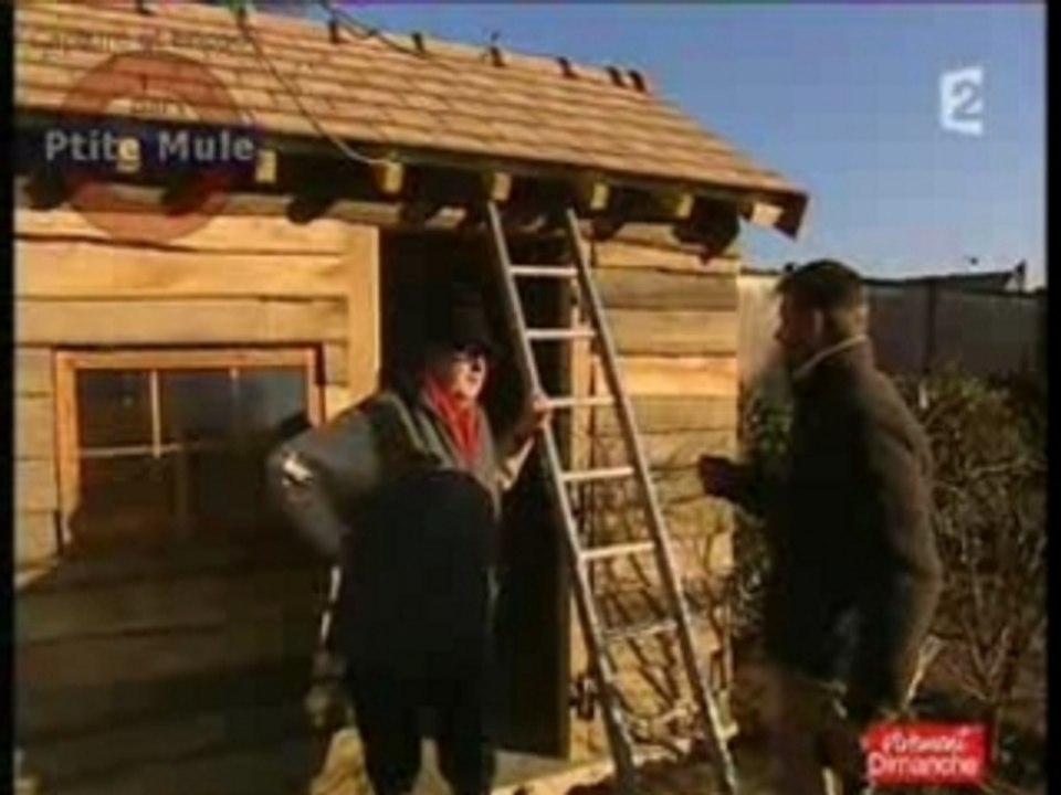 La cabane au fond du jardin
