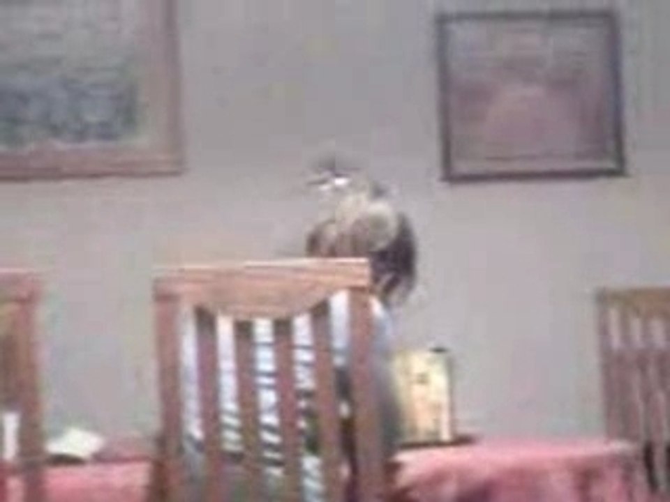 picooz2