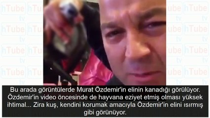 MasterChef Murat'ın yeni rezaleti küfürlerle hayvana eziyet edip yayınladı
