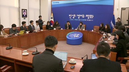 민주당 "카풀 논란 사회적 대타협 기구서 논의" / YTN