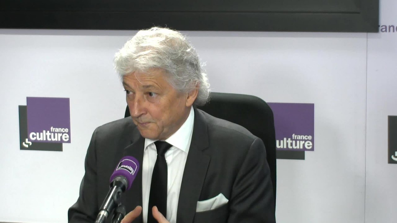 Dominique Rousseau : "Le droit a un rôle dans la possibilité de vivre ensemble"