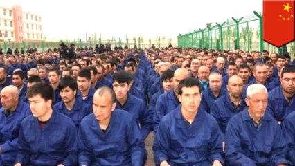 Texas A&M, UPenn merchandise made by force labor in China