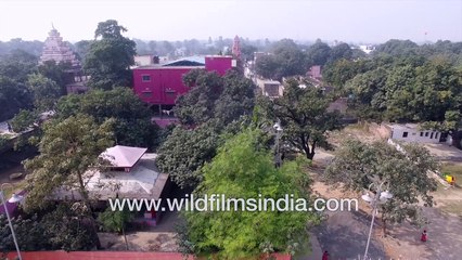 Ganga river-bank and Sonepur Bihar aerial views