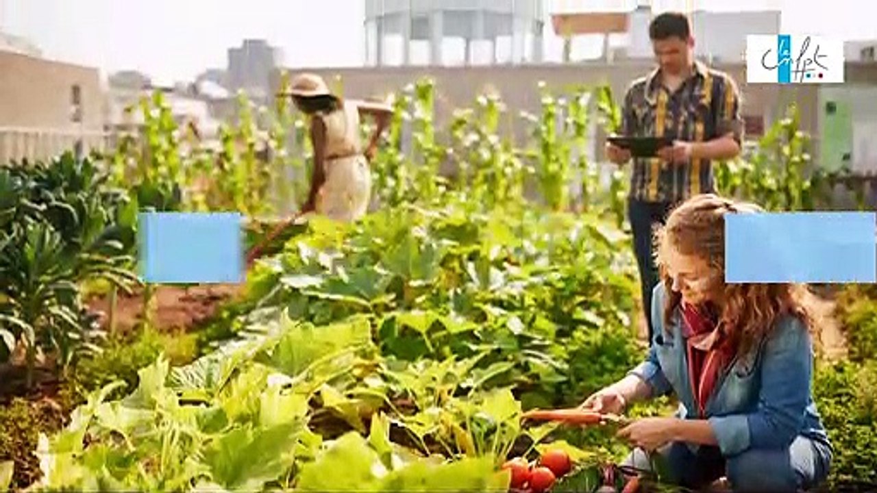 FUN-MOOC : Acteurs, leviers, outils pour mener les transitions du système alimentaire