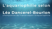 L'aquariophilie selon Léa Dancerel-Bourlon