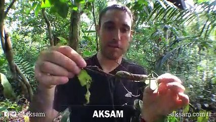 Tehlikede olunca yaptığı hayrete düşürdü