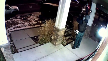 Il vole des décorations de noël