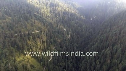 Valley of Gada Ghusaini in Himachal- aerial view