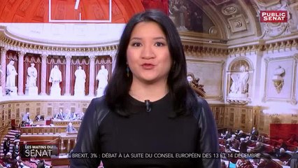 Brexit, 3% : débat à la suite du Conseil européen des 13 et 14 décembre - Les matins du Sénat (18/12/2018)