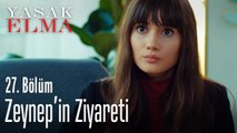 Zeynep'in Zerrin'e ziyareti - Yasak Elma 27. Bölüm