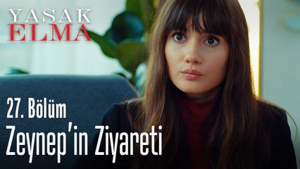 Zeynep'in Zerrin'e ziyareti - Yasak Elma 27. Bölüm