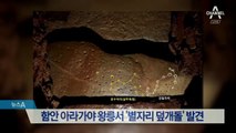 함안 아라가야 왕릉서 ‘별자리 덮개돌’ 발견