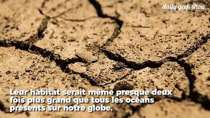 Des scientifiques révèlent une énorme biosphère cachée sous nos pieds