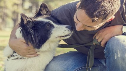 Requisitos para tener una mascota de forma responsable