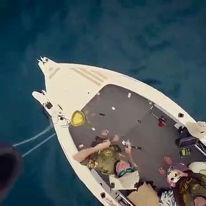 creative