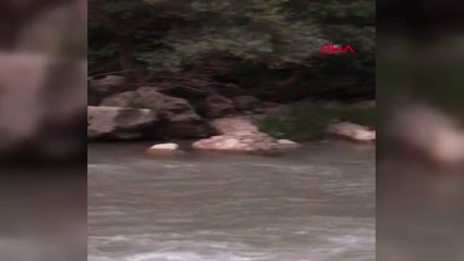 Tunceli Kaymakam, Koruma Altındaki Su Samurunu Görüntüledi