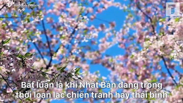 3 loại tu dưỡng tạo nên khí chất nhu hòa của người phụ nữ Nhật truyền thống - Trí Thức VN