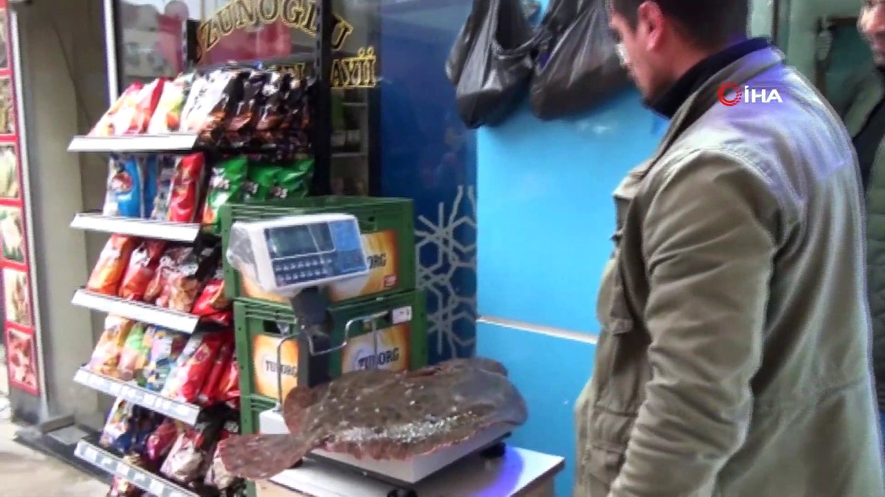 Bu Kalkan Balığının Fiyatı Dudak Uçuklatıyor
