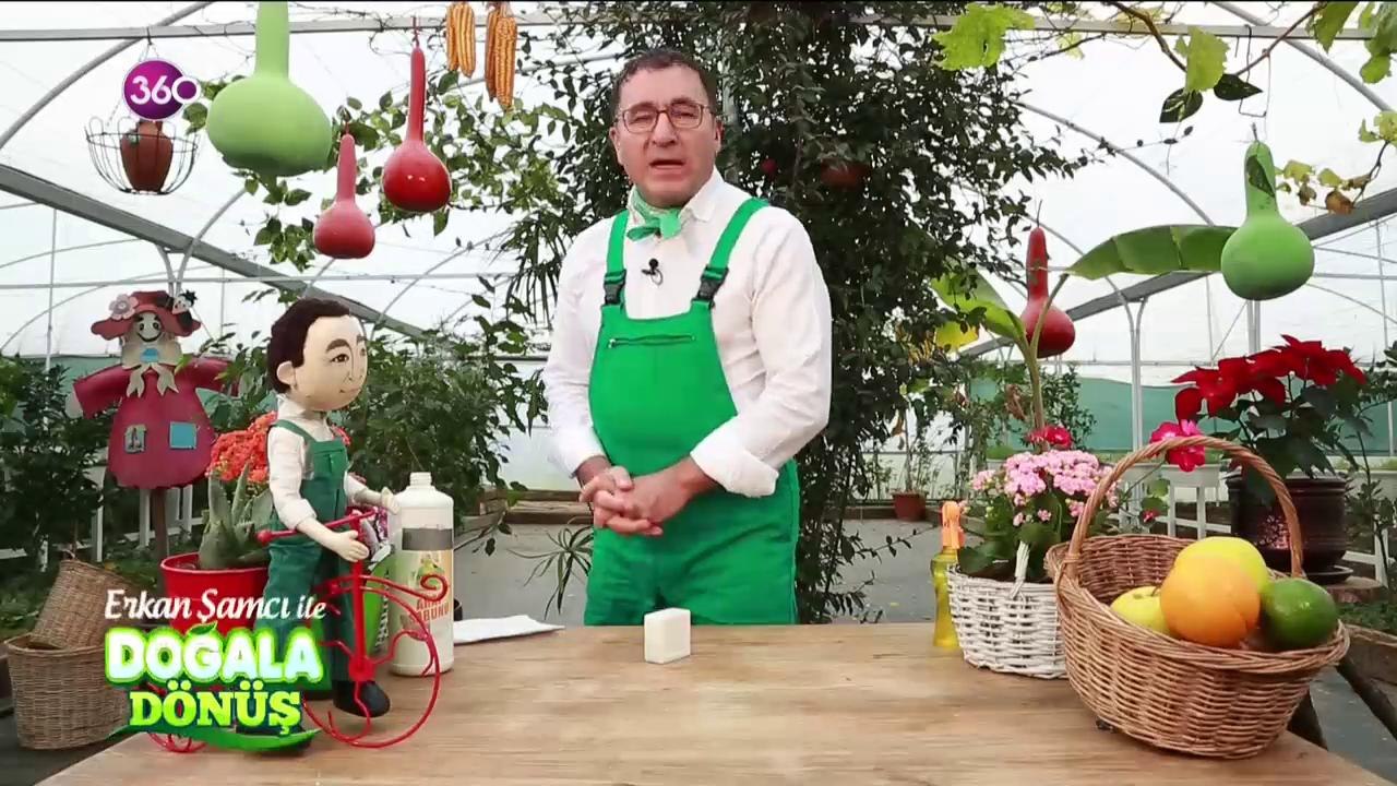 Doğala Dönüş