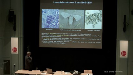 Pasteur, fondateur de la microbiologie