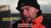 Aux Pays-Bas, un archipel d'îles artificielles construit pour restaurer la biodiversité
