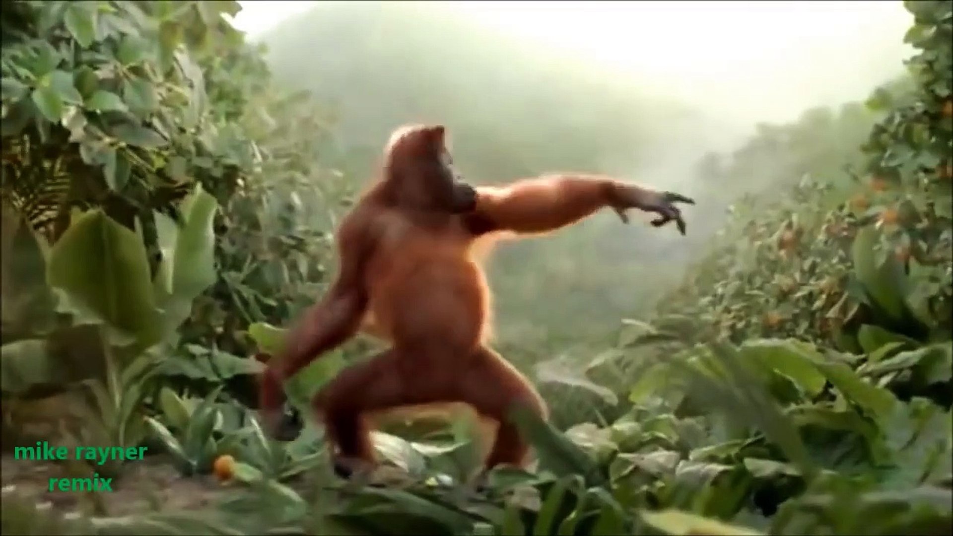 ⁣Funny Ape Song. Cartoon Parody. Dance Music Pop Songs. (Dancing Gorilla) Kids Cartoons movies