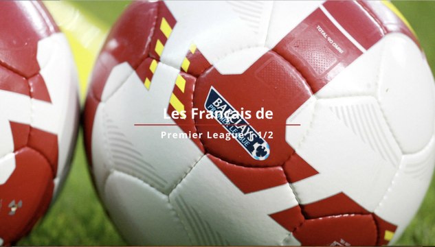 Premier League 2018 / 2019 : les Français du championnat anglais 1ère partie