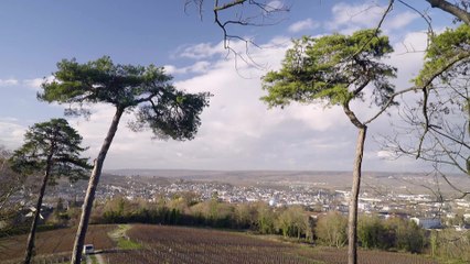 Download Video: Ville d'Epernay - Trophées des Territoires Electromobiles 2018