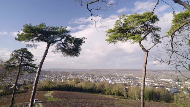 Ville d'Epernay - Trophées des Territoires Electromobiles 2018