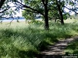 Fishbourne nature reserve creek ancient woodland ponds and creek