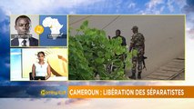 Cameroon's freed prisoners demand release of separatists leaders [The Morning Call]