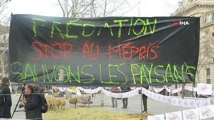 Paris'in Ortasında Koyunlu Gösteri- Fransız Köylü: "12 Bin Koyunum Telef Oldu"