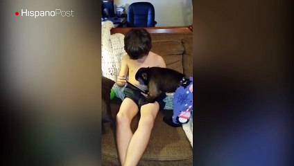 Mono curioso desea aprender a jugar videojuegos