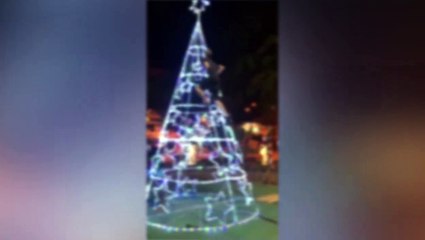 Vídeo de jovem subindo em árvore de Natal e causando destruição não foi feito em Cascavel