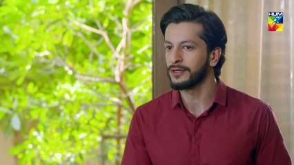 Lamhay Epi 17 HUM TV Drama 18 December 2018