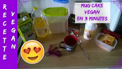 Recette Vegan 14 - Mug Cake au Chocolat en 3 minutes