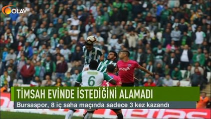 Timsah evinde istediğini alamadı