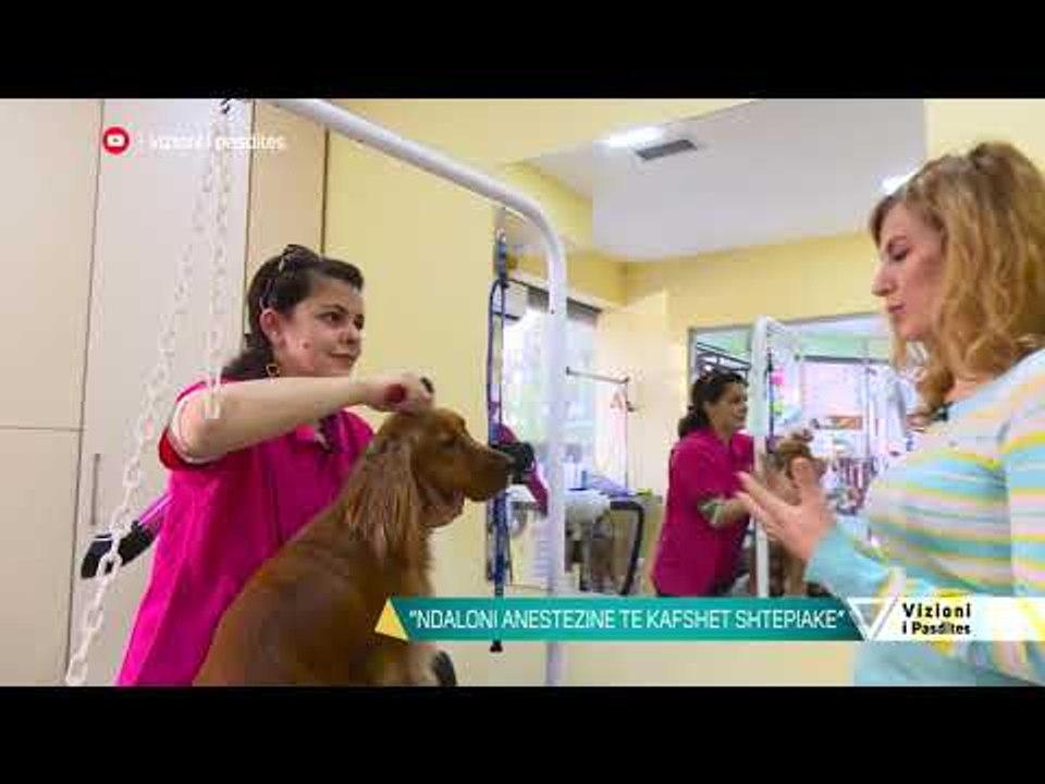 Vizioni i pasdites - Një qendër estetike për kafshët - 18 Dhjetor 2018 - Show - Vizion Plus