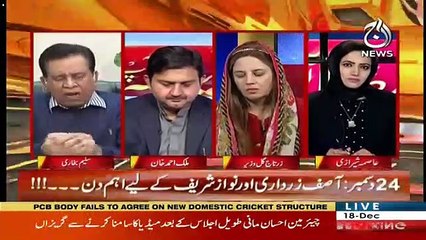 Why Opposition Wants To Meet With Chairman NAB-Saleem Bukhari's Response