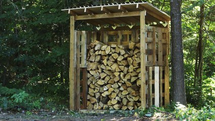 Keep your wood tidy and dry with this DIY pallet woodshed