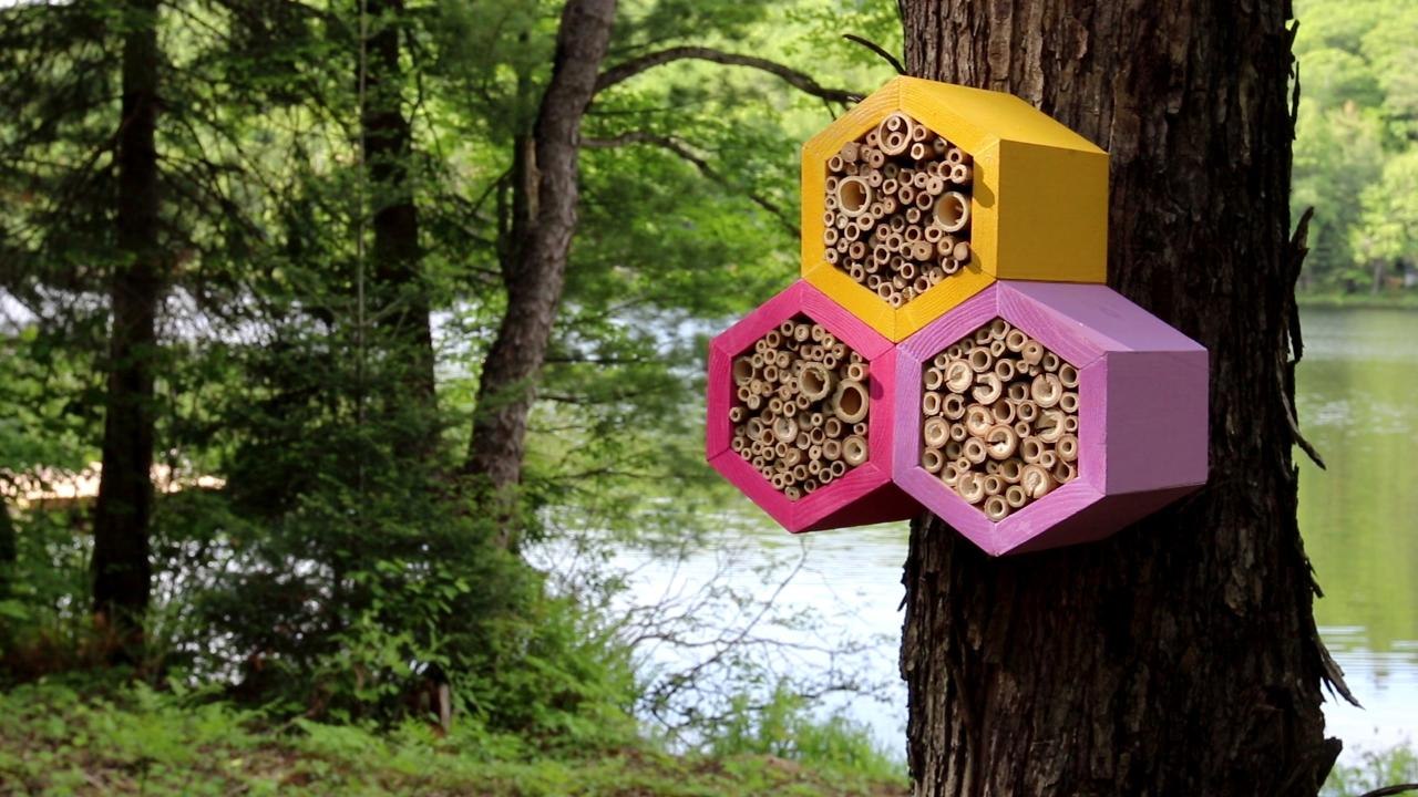 Do your part to save the bees with this DIY bee box