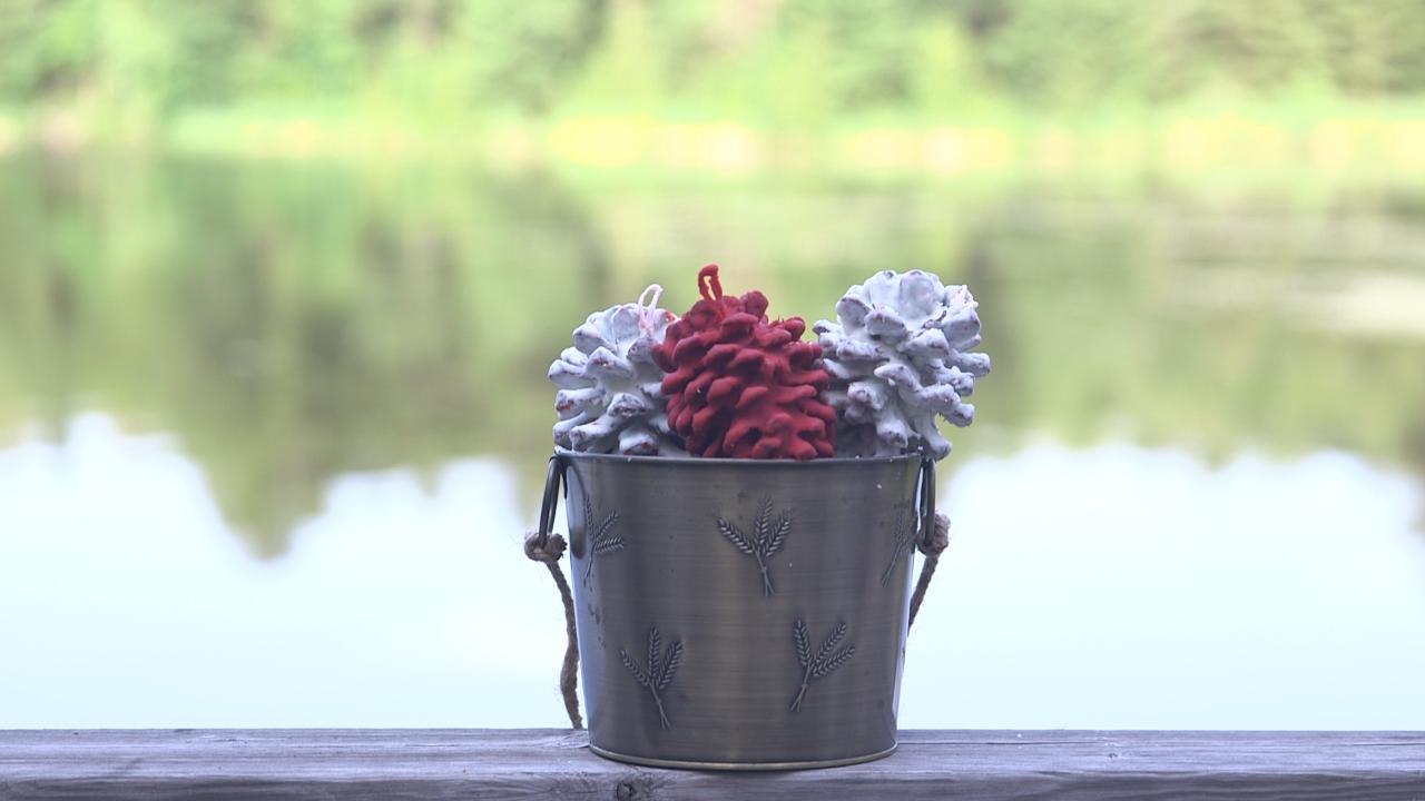 Pinecone fire starters