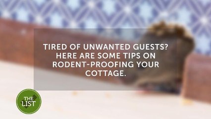 Pest proof your cottage with these simple tips