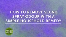 Remove skunk spray with this DIY formula