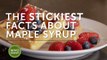 The stickiest facts about maple syrup
