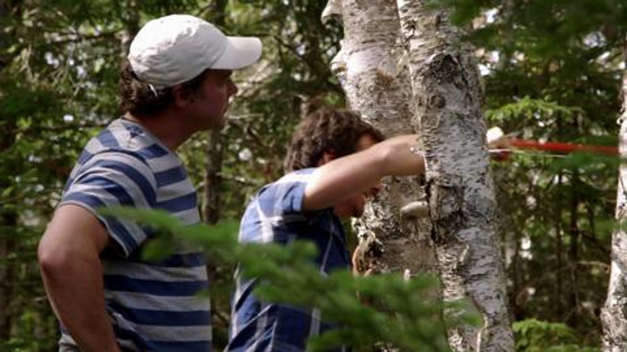 Build an epic tree fort that will keep the kids...