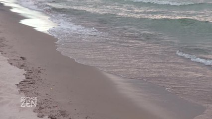 Here’s why we miss the cottage beach