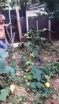 Когда пытаешься пройти мимо злой девушки