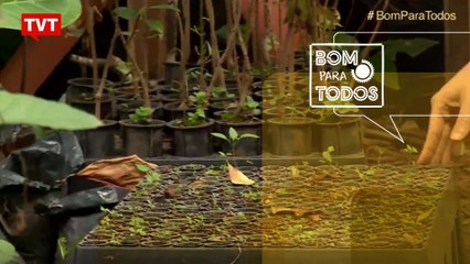 Psicanalista compartilha experiências de sustentabilidade no dia-a-dia