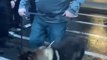 Ce chien policier sort de chez le vétérinaire après avoir reçu 4 balles, accueilli comme un héro